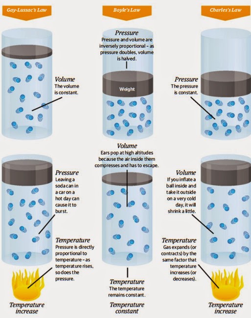 Gas Laws of Scuba Diving The Science Behind Scuba Diving