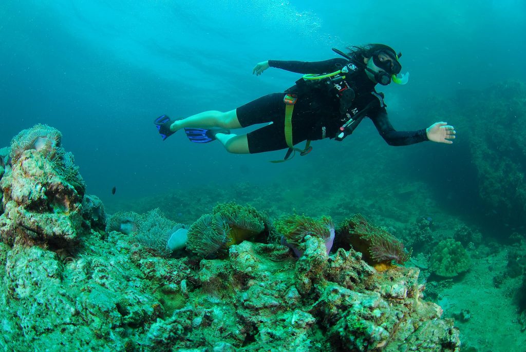 Scuba Diving Coral Reefs