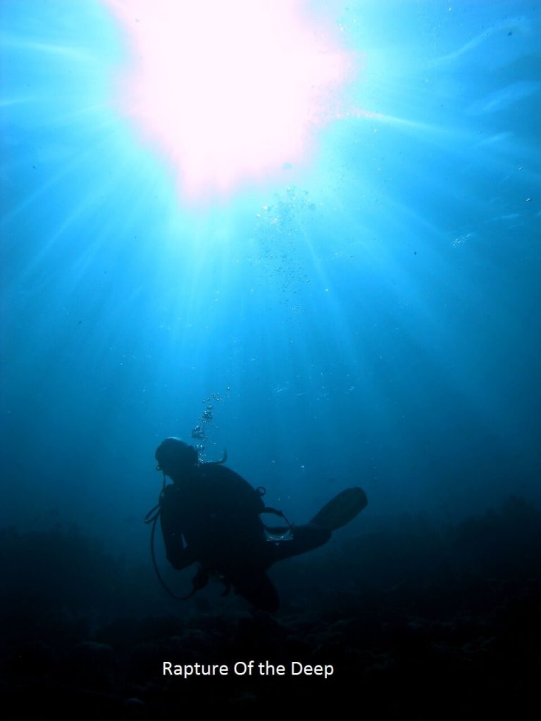 Scuba Diving Dangers - Its All About Being Prepared